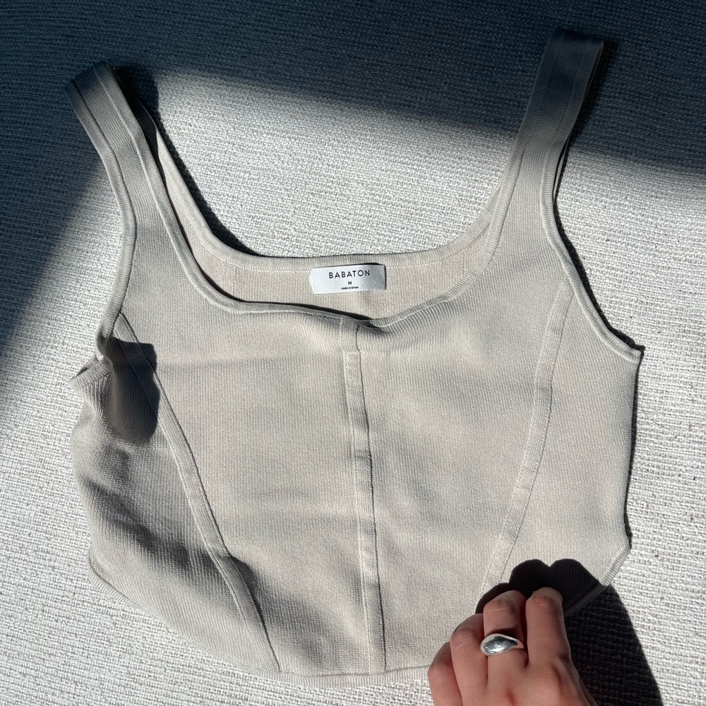 Aritzia Babaton Bustier Crop Tank